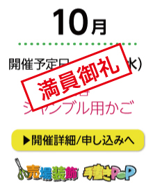 ws10