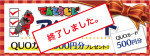 スタッフ目線でアンケート～先着100名にQUOカード500円分プレゼント！～