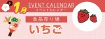 販促カレンダー1月：いちご